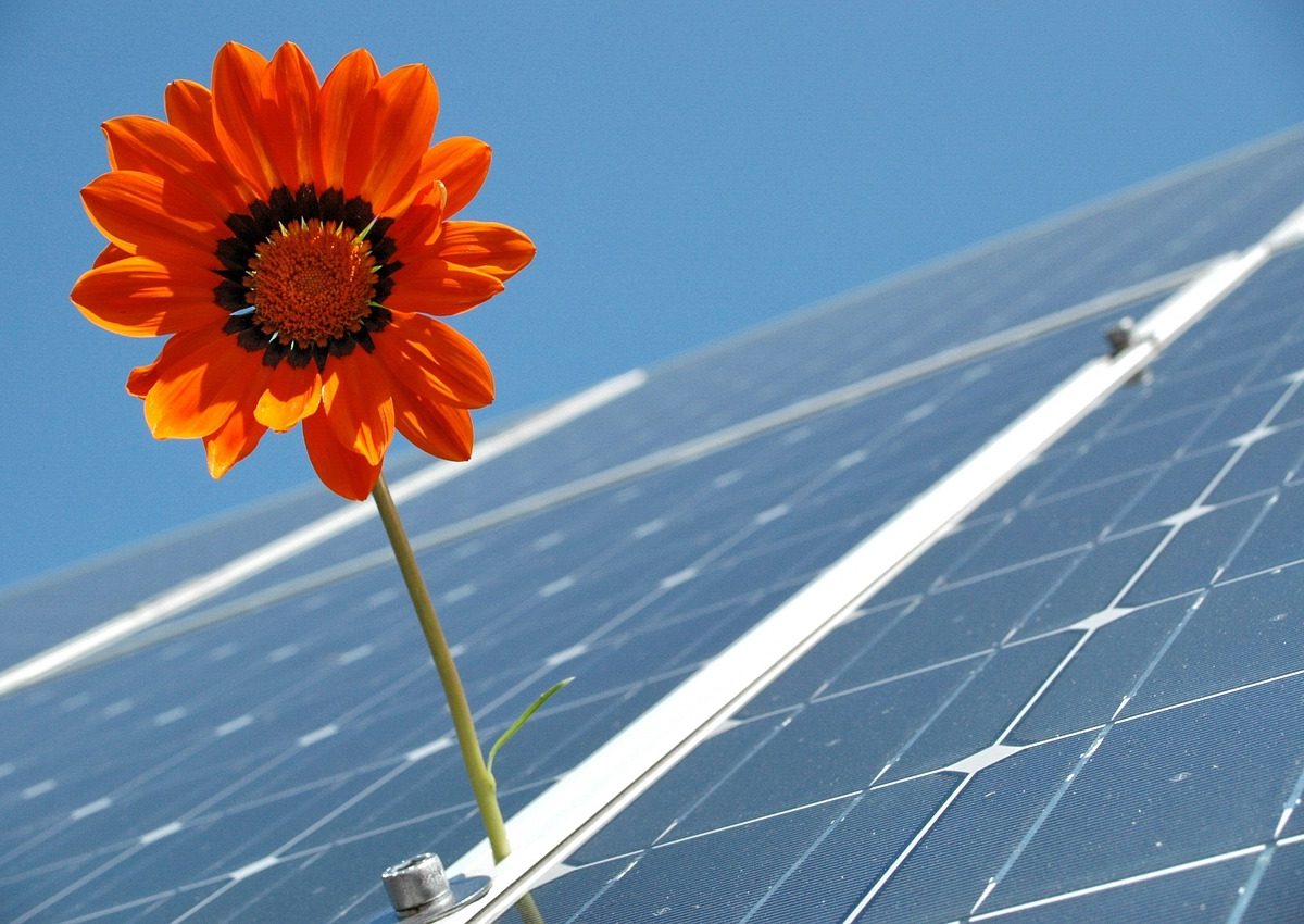 Co można zrobić, by przedłużyć wydajność paneli fotowoltaicznych?