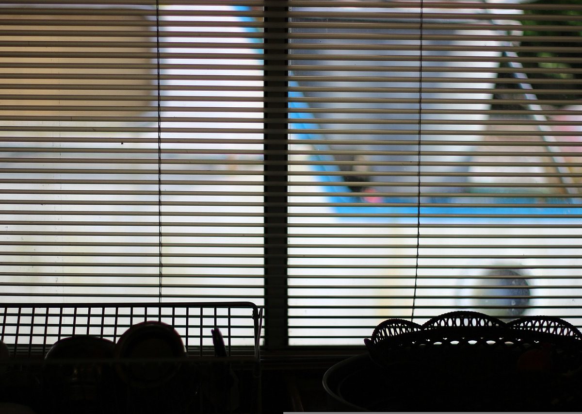 Rolety elektryczne wewnętrzne – czym się charakteryzują?